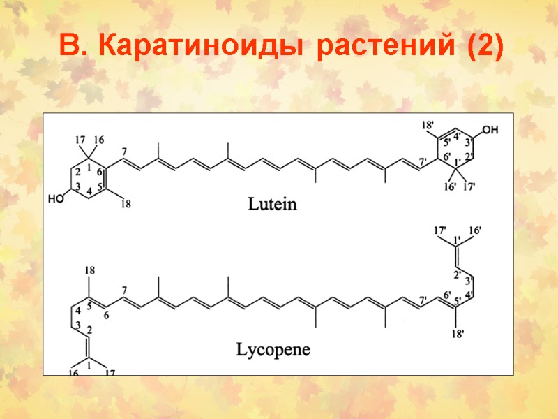 В. Каратиноиды растений (2)